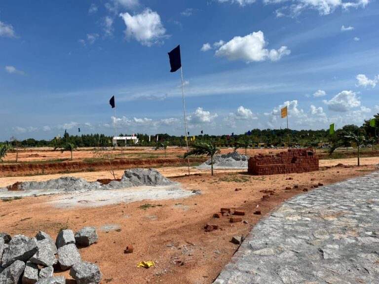 whatsapp image 2026 02 18 at 12.27.32 pm