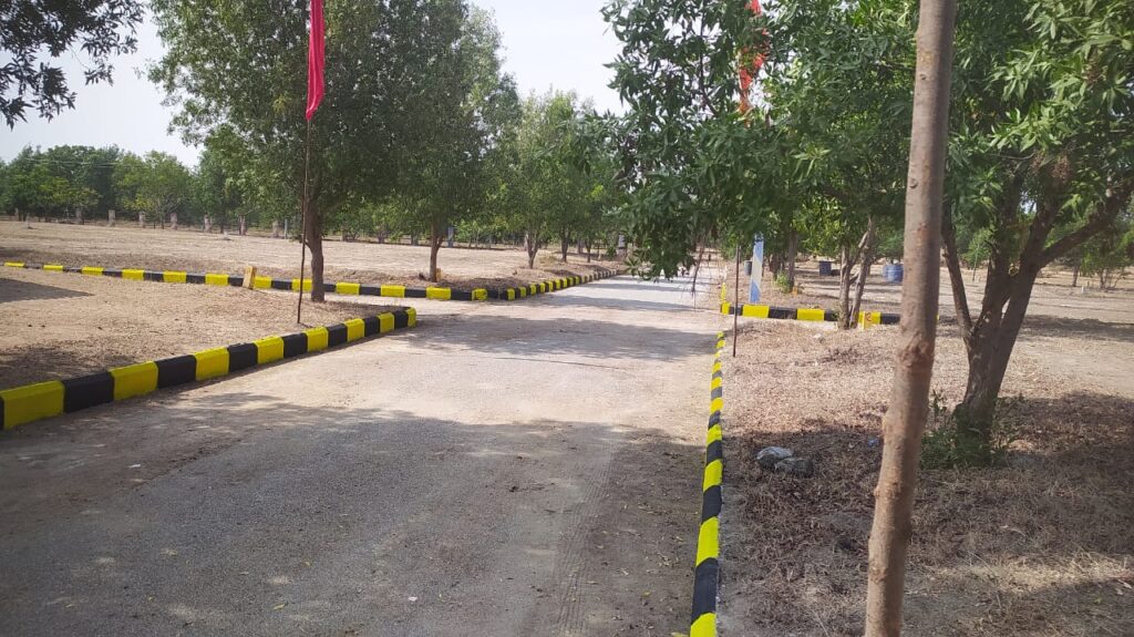 whatsapp image 2026 03 21 at 12.01.41 pm