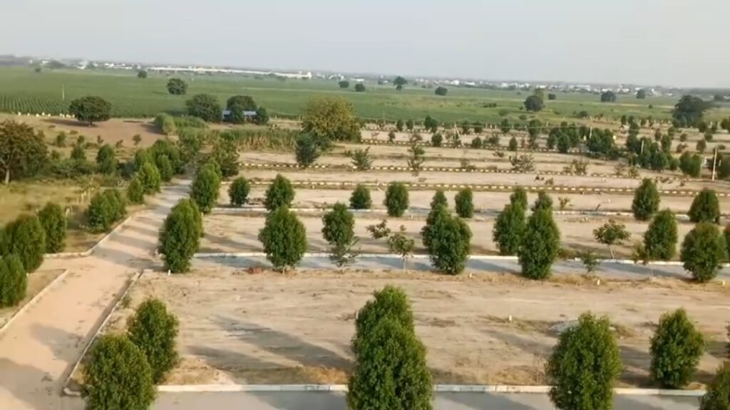 whatsapp image 2026 03 21 at 12.01.42 pm